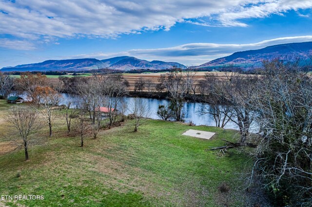 259 Moss Rd, Delano, TN 37325 - photo 46