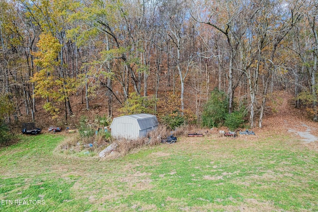 view of yard with a storage unit