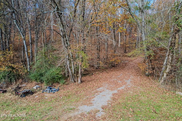 view of local wilderness