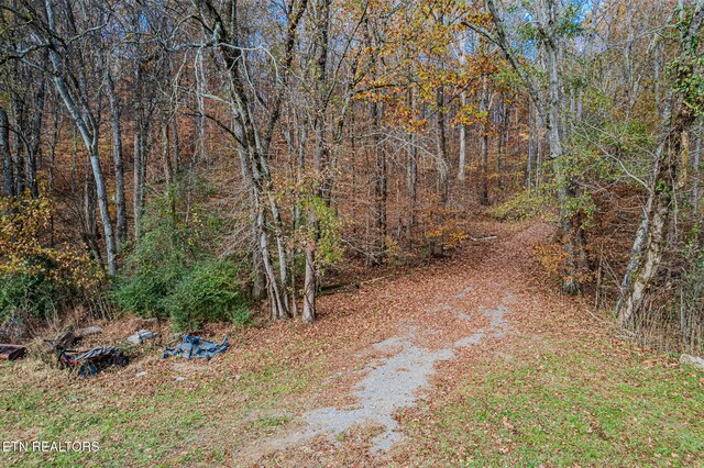 259 Moss Rd, Delano, TN 37325 - photo 52