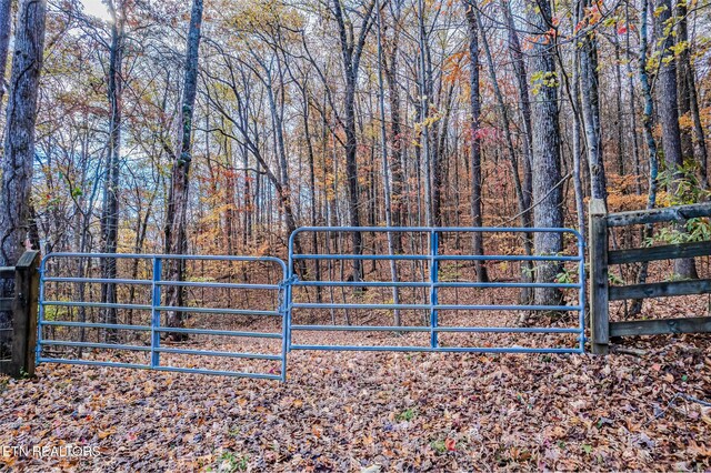 259 Moss Rd, Delano, TN 37325 - photo 49