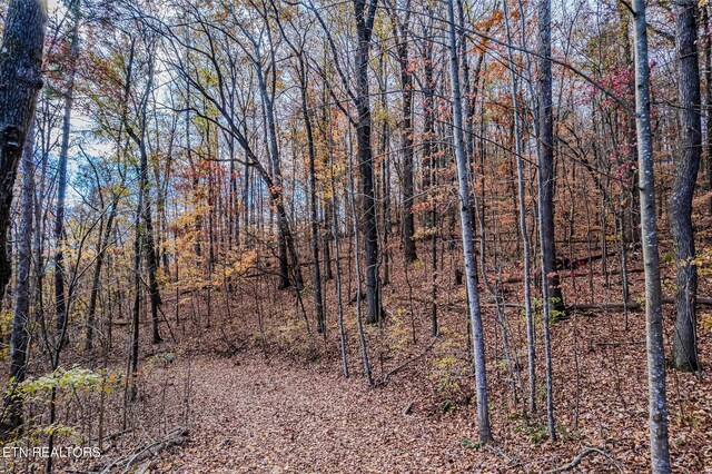 259 Moss Rd, Delano, TN 37325 - photo 50