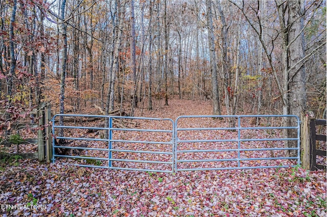 259 Moss Rd, Delano, TN 37325 - photo 51