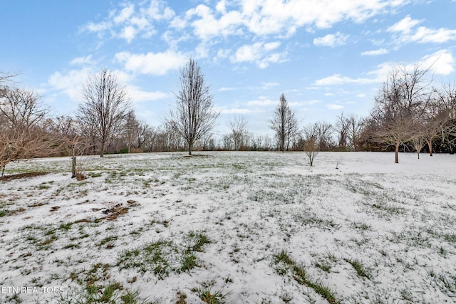 view of yard covered in snow