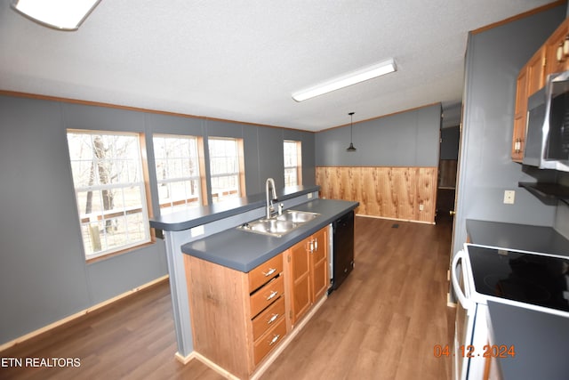 kitchen with pendant lighting, sink, a textured ceiling, black dishwasher, and wood-type flooring