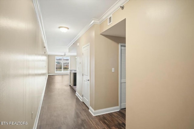 hallway featuring crown molding and dark hardwood / wood-style floors