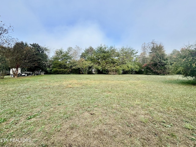 view of yard featuring a rural view