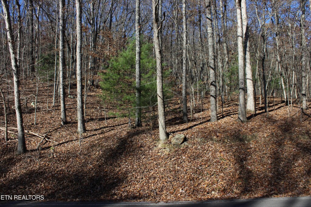 Scenic Dr, Harriman, TN 37748 - photo 1