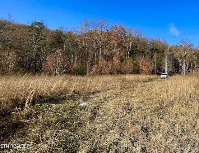 Poor Valley Rd, Rutledge TN, 37861 land for sale