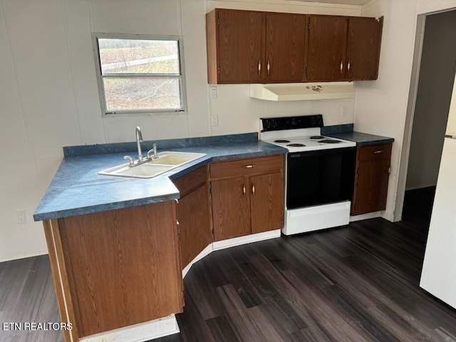 kitchen featuring white electric range oven, dark hardwood / wood-style floors, sink, and extractor fan