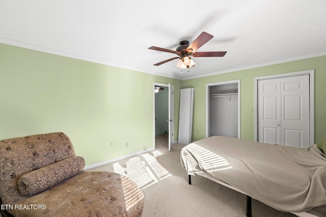 bedroom featuring ceiling fan, carpet floors, ornamental molding, and multiple closets