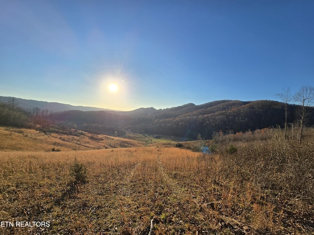 Dry Creek Rd, Duffield VA, 24244 land for sale