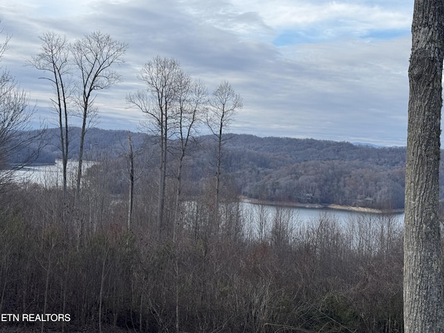 LOT34 Hickory Pointe Ln, Maynardville, TN 37807 - photo 3