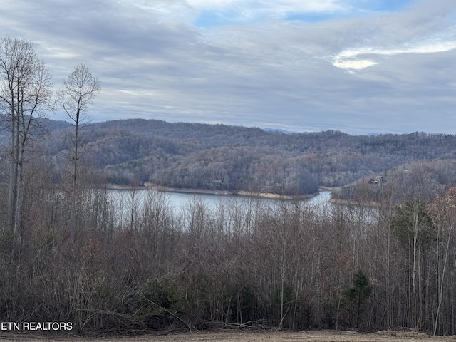 Listing photo 3 for LOT34 Hickory Pointe Ln, Maynardville TN 37807