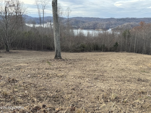 LOT34 Hickory Pointe Ln, Maynardville, TN 37807 - photo 5