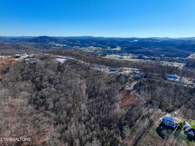 LOT34 Hickory Pointe Ln, Maynardville, TN 37807 - photo 7