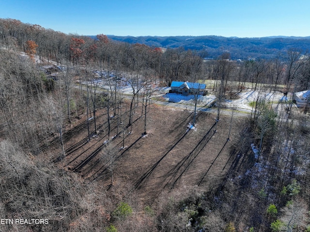 LOT34 Hickory Pointe Ln, Maynardville, TN 37807 - photo 12