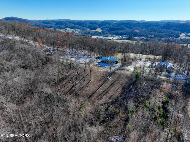 LOT34 Hickory Pointe Ln, Maynardville, TN 37807 - photo 13