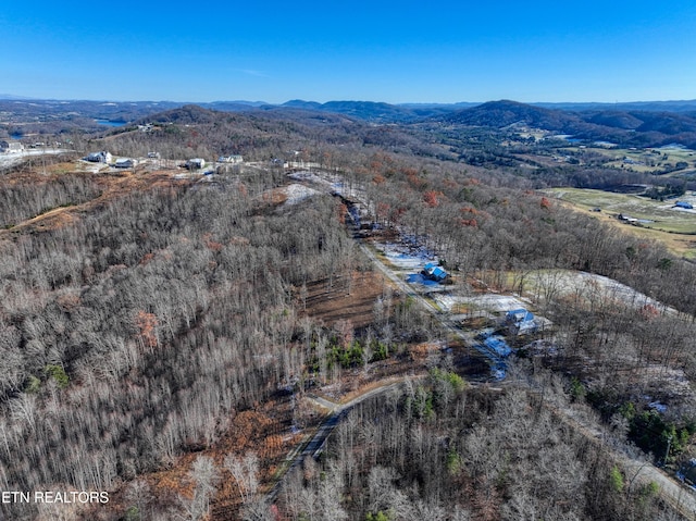 LOT34 Hickory Pointe Ln, Maynardville, TN 37807 - photo 16