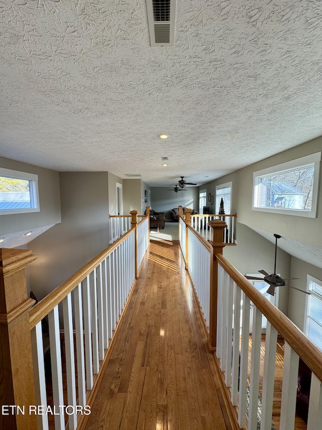 hallway with wood-type flooring, a textured ceiling, and a healthy amount of sunlight