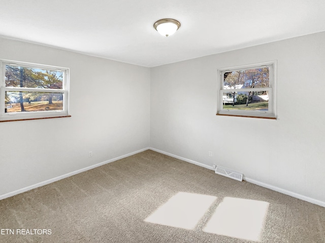 empty room featuring a wealth of natural light and carpet floors