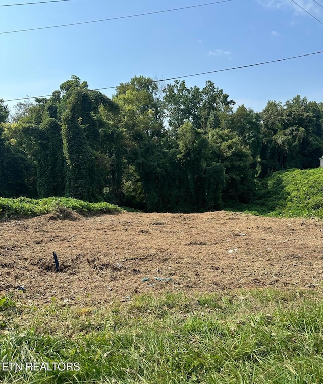 145 W Iron St, Lafollette TN, 37766 land for sale