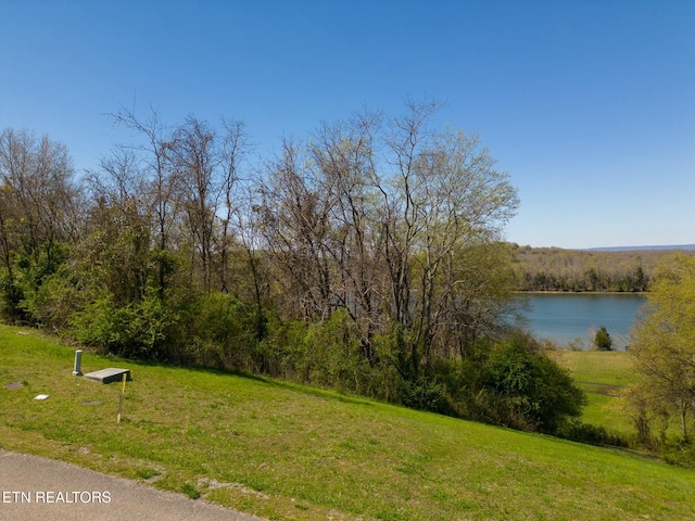 LOT71 Espalier Dr, Decatur TN, 37322 land for sale