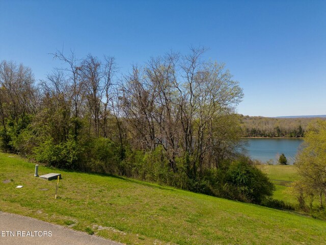 LOT71 Espalier Dr, Decatur, TN 37322 - photo 1
