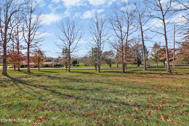 view of yard