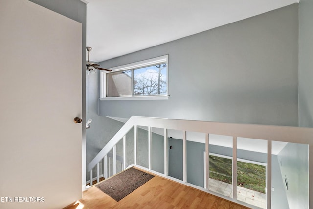 stairs with hardwood / wood-style flooring and ceiling fan