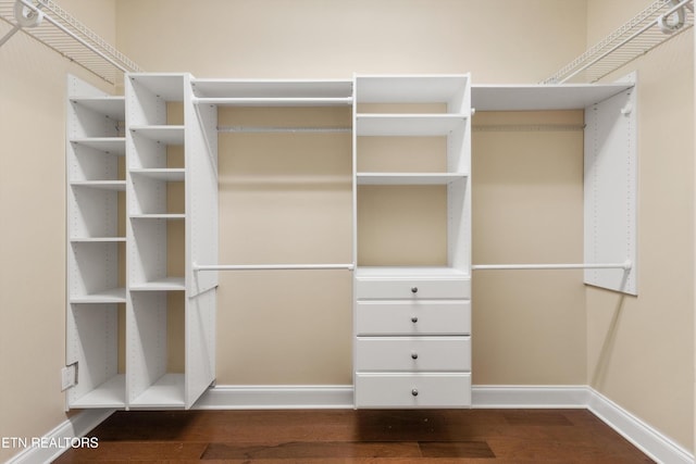 spacious closet featuring hardwood / wood-style floors