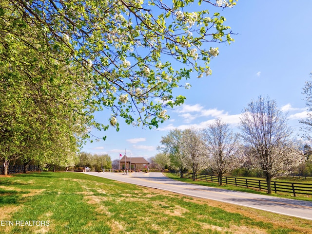 241 Goldcrest Dr, Vonore, TN 37885 - view of road
