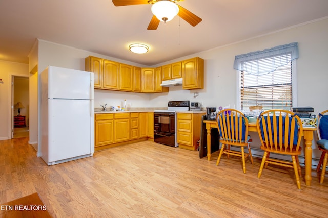 kitchen featuring range with electric cooktop, light wood-style flooring, ornamental molding, freestanding refrigerator, and under cabinet range hood