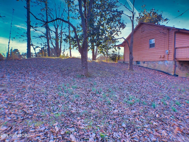 view of yard at dusk