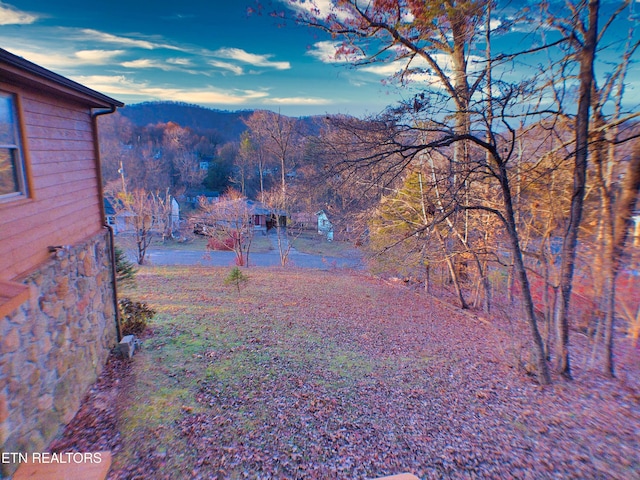 view of yard featuring a mountain view