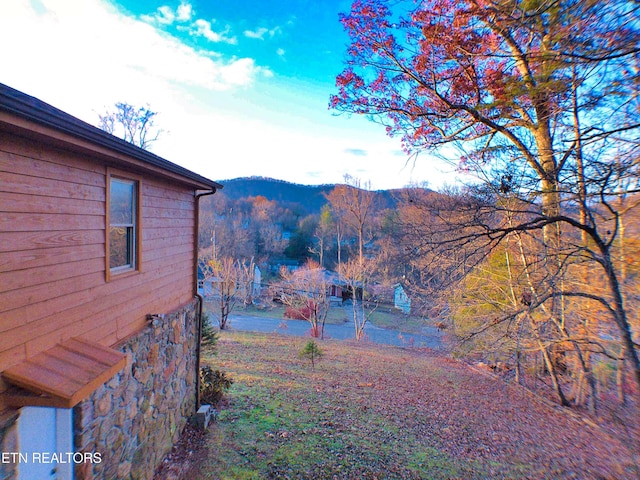 view of yard featuring a mountain view