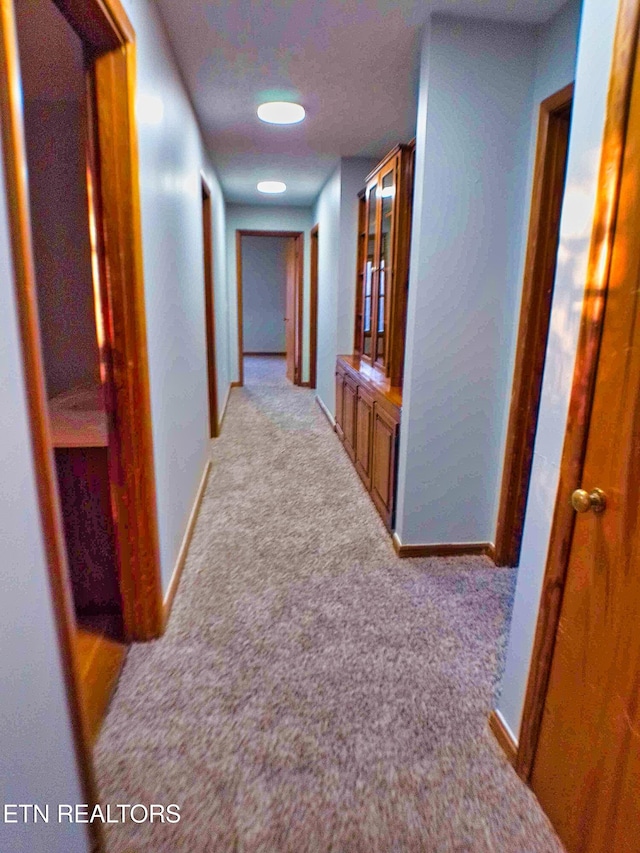 corridor with light carpet