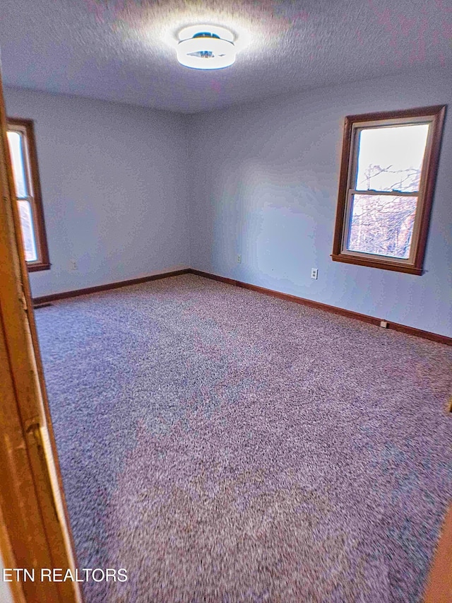 spare room with carpet flooring and a textured ceiling