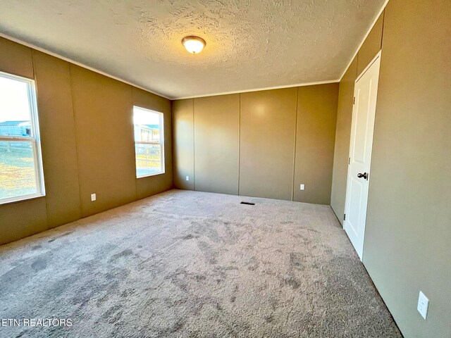 carpeted empty room featuring a textured ceiling