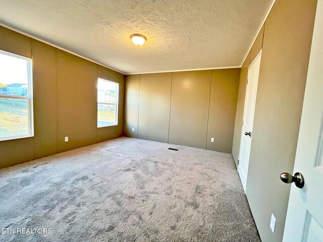 spare room featuring carpet and a textured ceiling