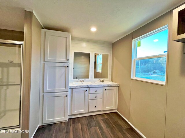 bathroom featuring hardwood / wood-style flooring and vanity