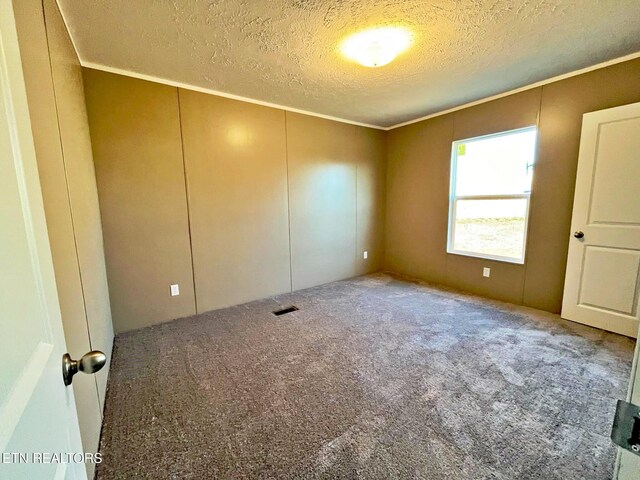 unfurnished room featuring a textured ceiling, carpet floors, and crown molding