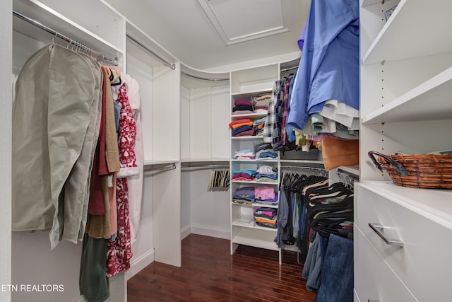 walk in closet with dark hardwood / wood-style floors