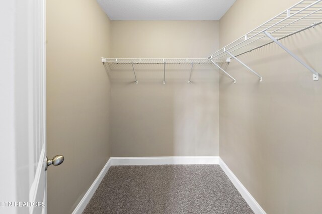 2308 Madeline Vine Ln, Knoxville, TN 37931 - photo 29