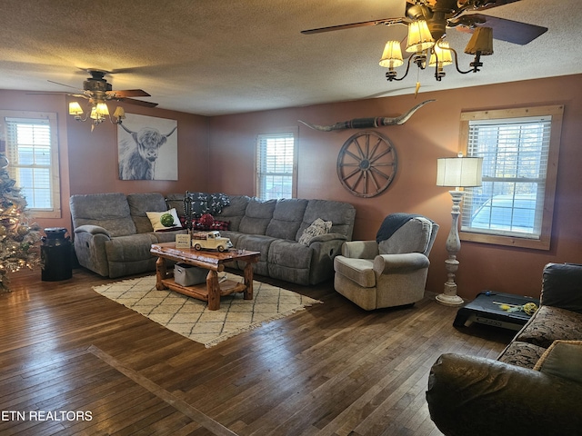 living room featuring a wealth of natural light, wood-type flooring, and a textured ceiling