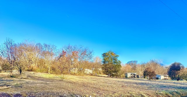 view of yard featuring a rural view