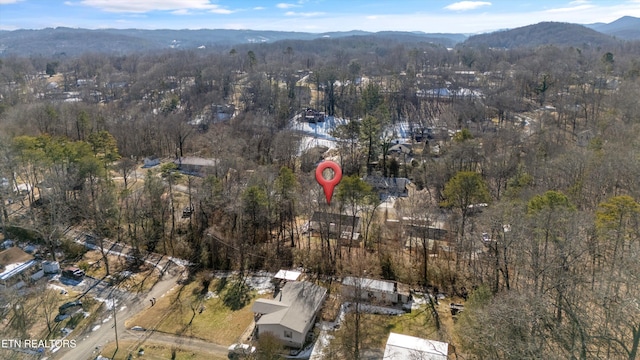 birds eye view of property featuring a mountain view