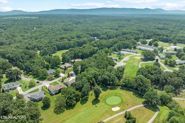 aerial view with a mountain view