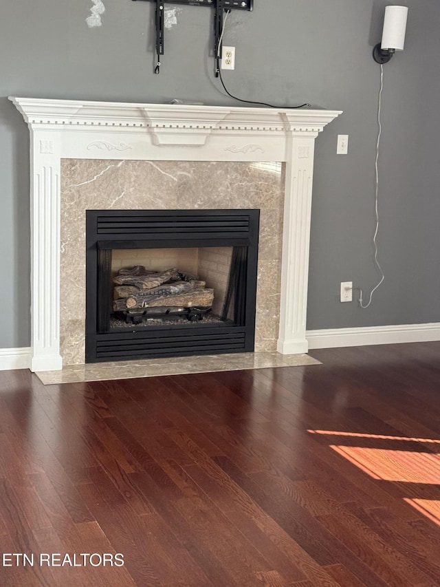 details with wood-type flooring and a premium fireplace