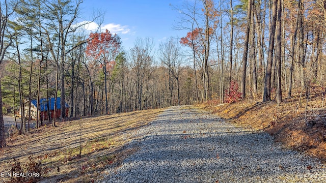 Ski View Ln, Sevierville TN, 37876 land for sale